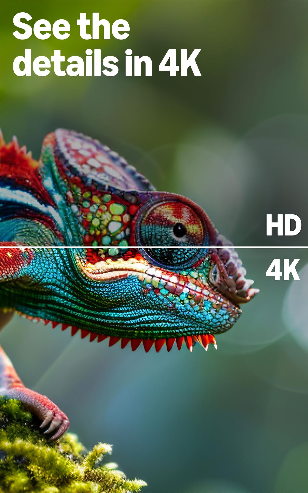 Amazon Ember 43" 4-Series with Fire TV (newest gen), 4K Ultra HD smart TV with Alexa Remote, HDR10+, fast processor, Dolby Audio, Ambient Experience, free and live TV